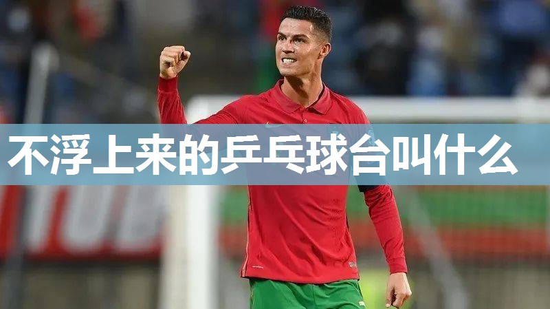 不浮上来的乒乓球台叫什么 不浮上来的乒乓球台叫什么