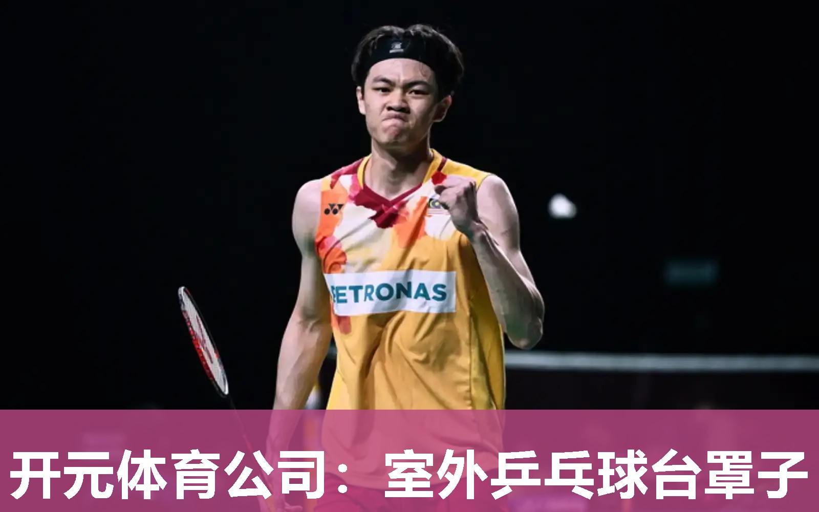 室外乒乓球台罩子 室外乒乓球台罩子