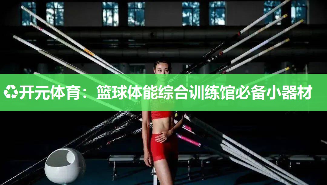 篮球体能综合训练馆必备小器材 篮球体能综合训练馆必备小器材