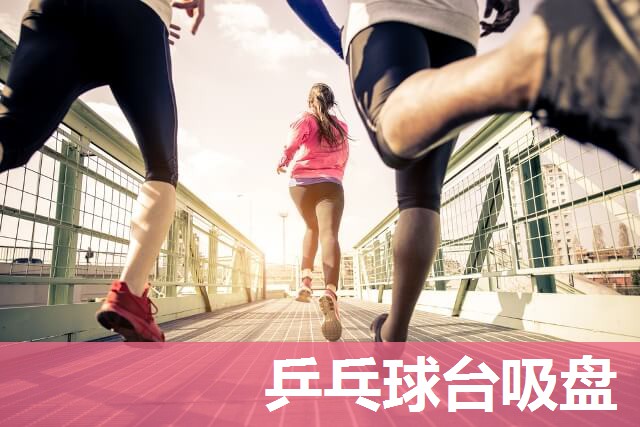 乒乓球台吸盘 乒乓球台吸盘