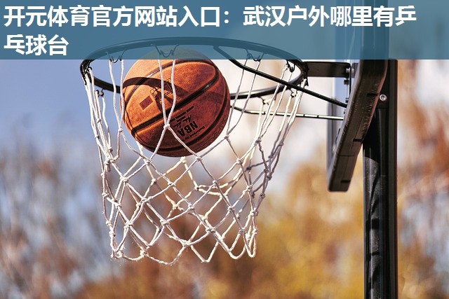 武汉户外哪里有乒乓球台 武汉户外哪里有乒乓球台