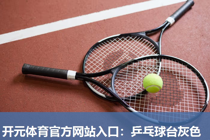 乒乓球台灰色 乒乓球台灰色