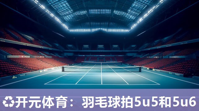 羽毛球拍5u5和5u6