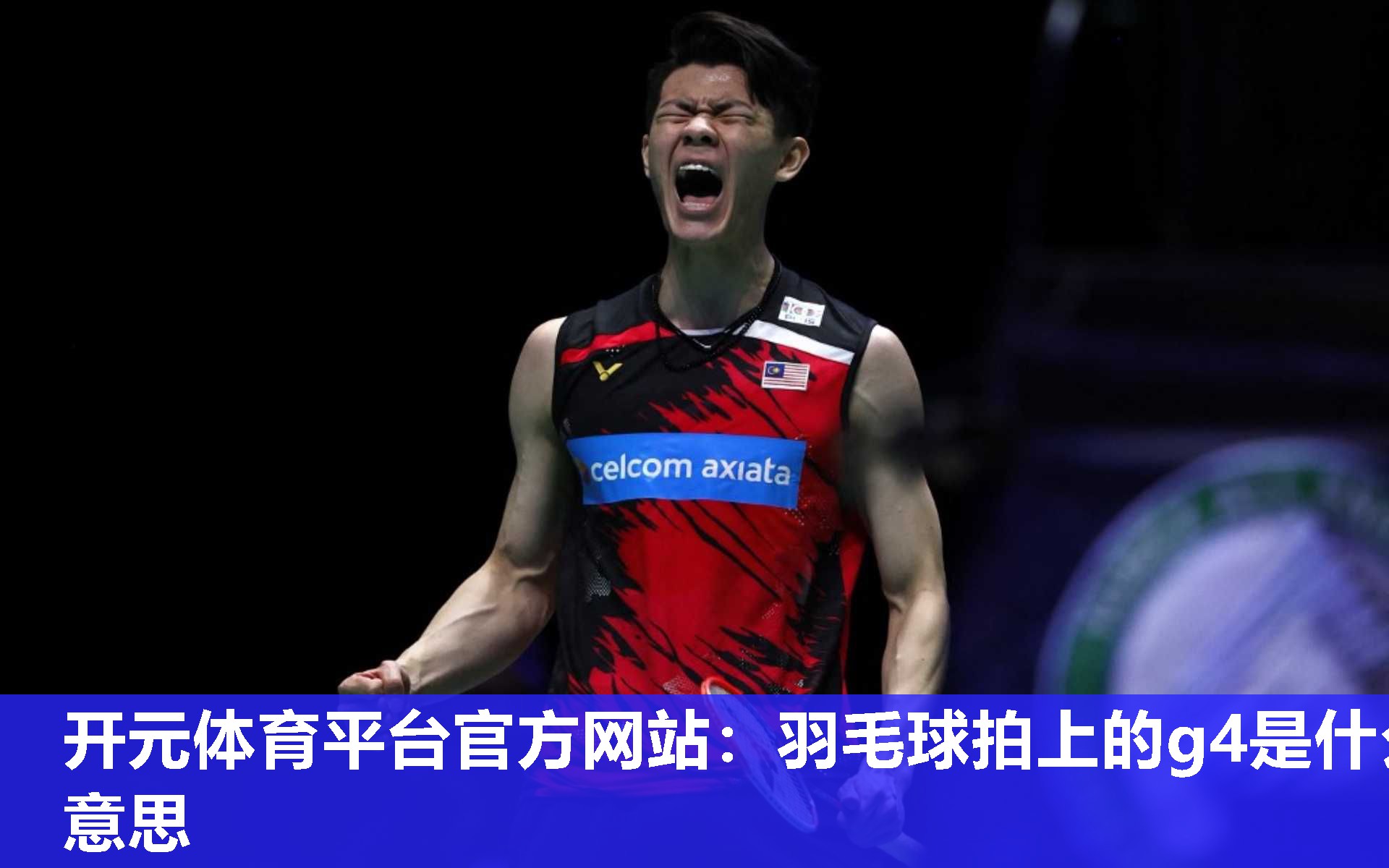 羽毛球拍上的g4是什么意思