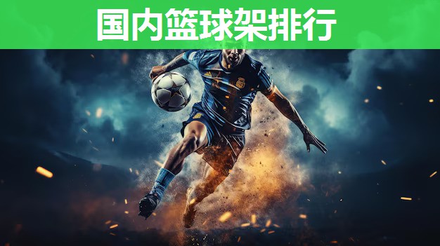 国内篮球架排行