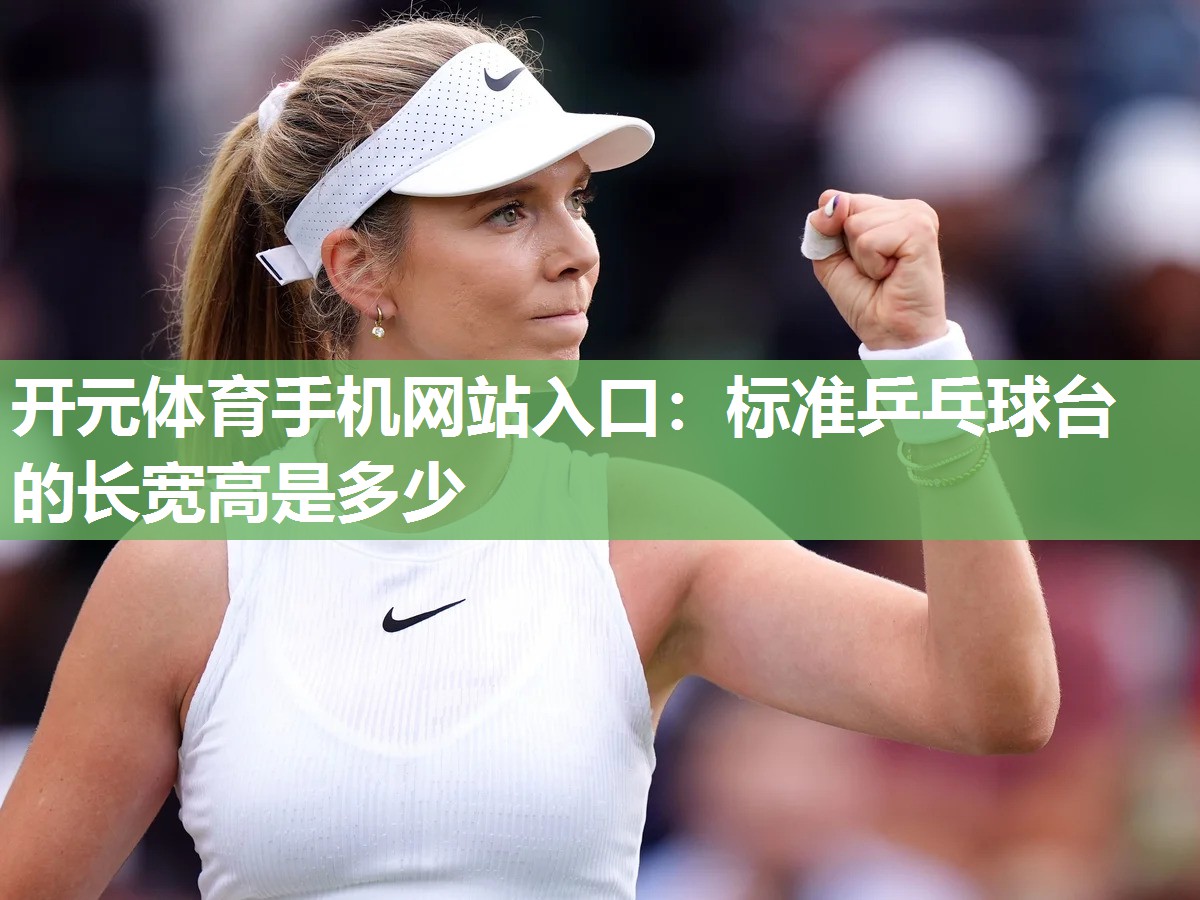 标准乒乓球台的长宽高是多少