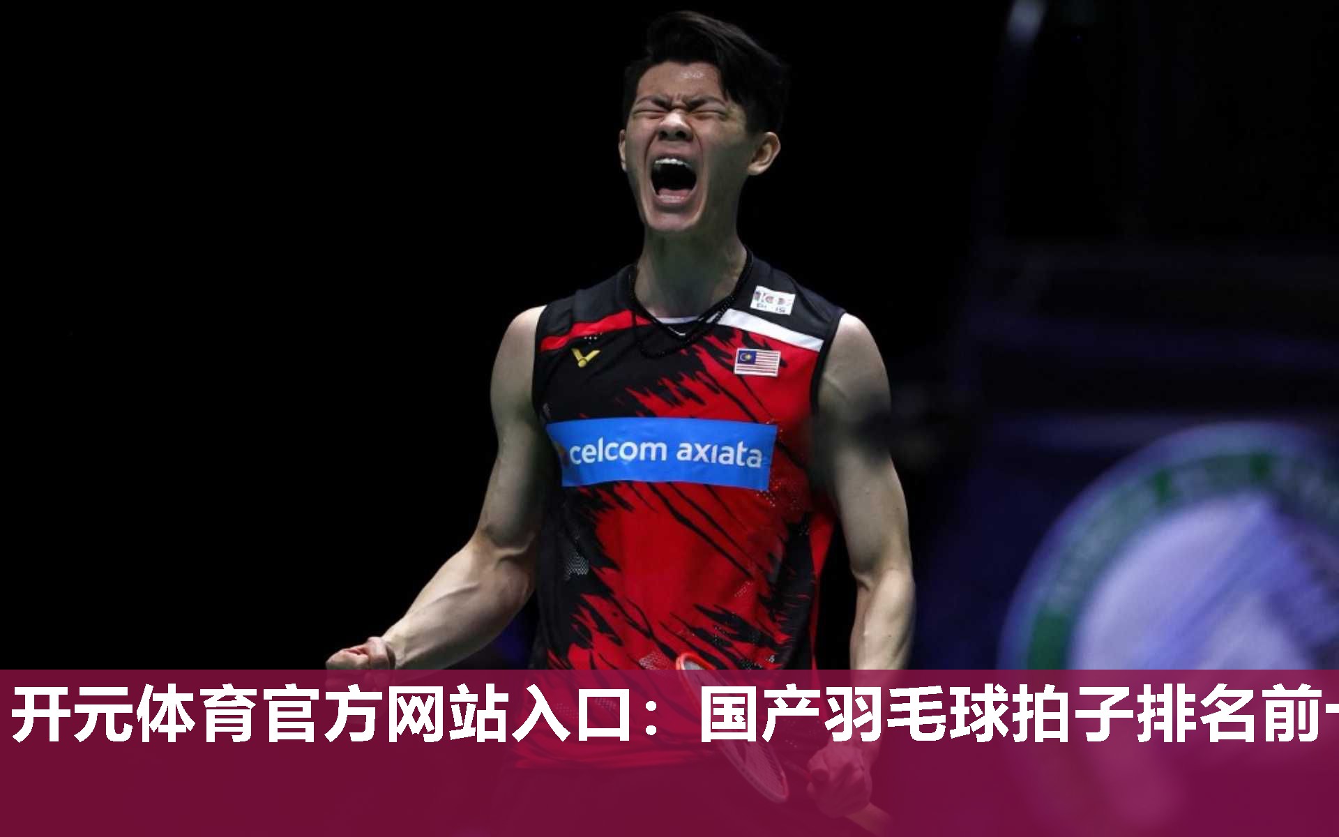 国产羽毛球拍子排名前十