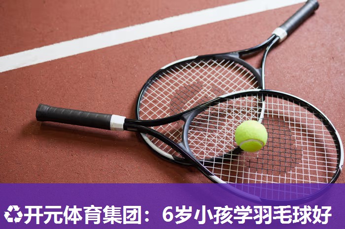 6岁小孩学羽毛球好