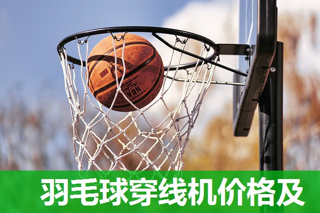 羽毛球穿线机价格及