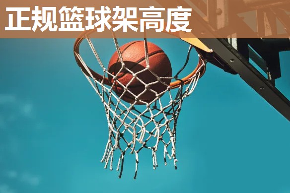 正规篮球架高度