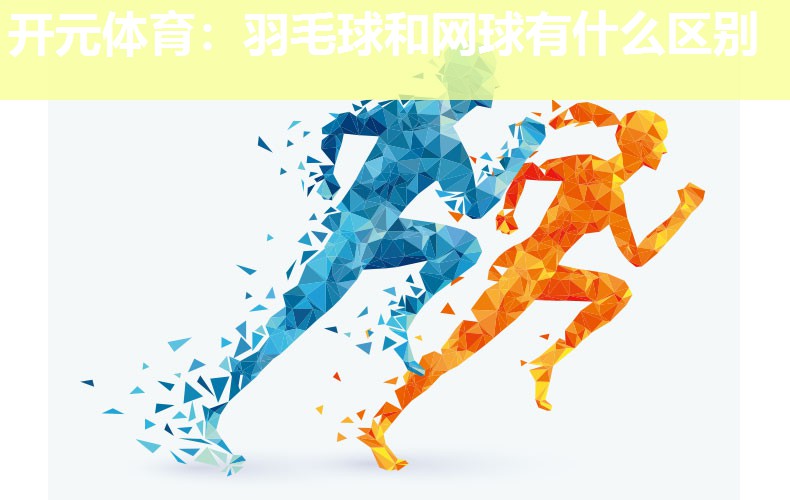 羽毛球和网球有什么区别