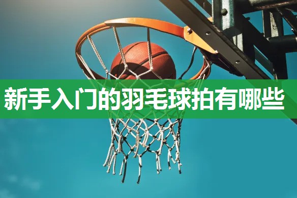 新手入门的羽毛球拍有哪些