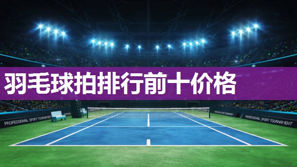 羽毛球拍排行前十价格
