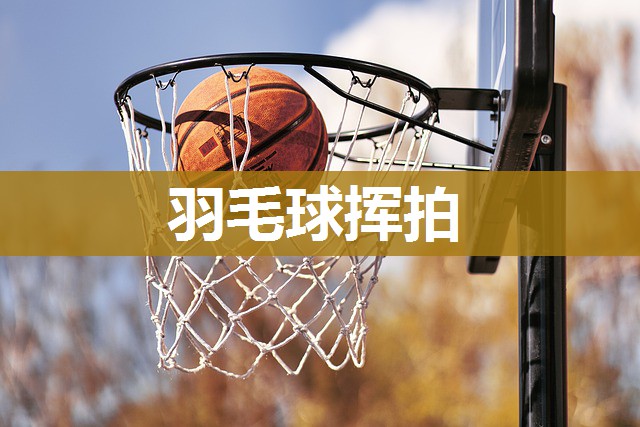 羽毛球挥拍